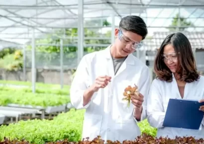 Jasa bimbingan skripsi agribisnis privat online maupun offline