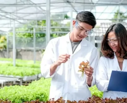 Jasa bimbingan skripsi agribisnis privat online maupun offline